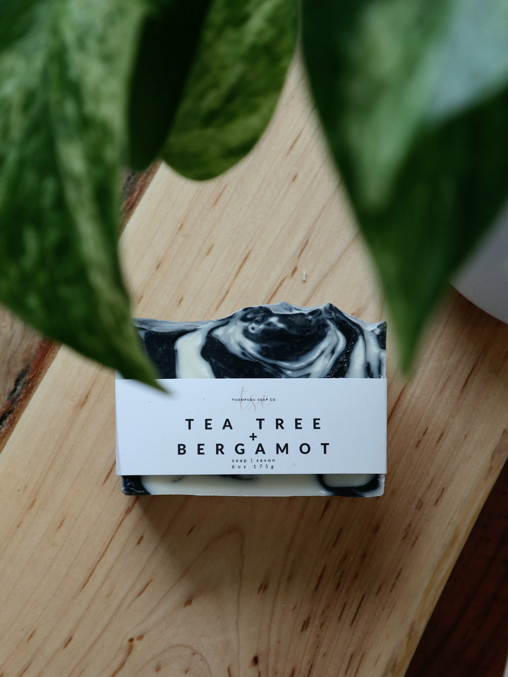 Tea Tree + Bergamot