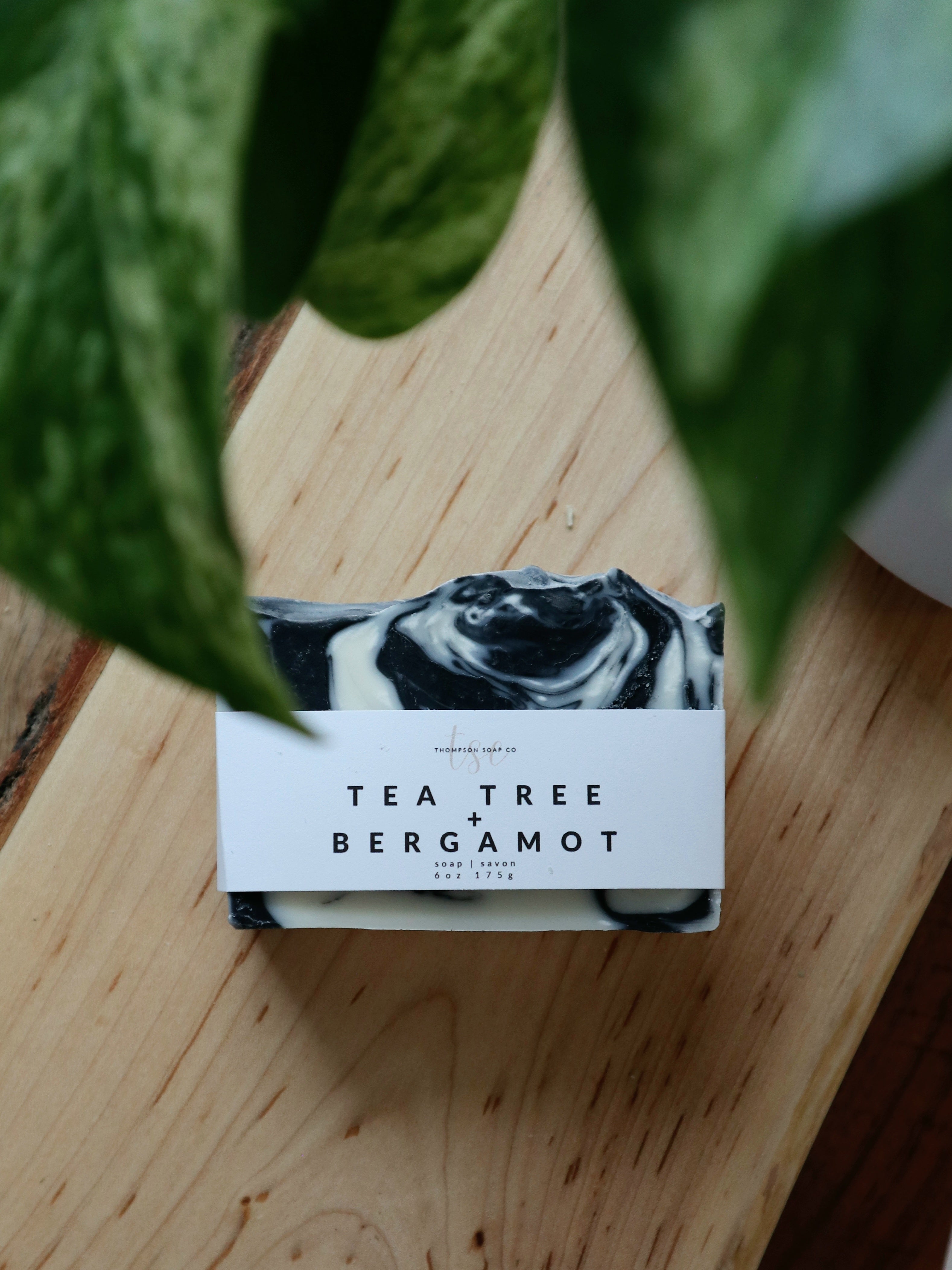 Tea Tree + Bergamot
